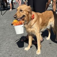   at Hillcrest Farmer's Market in San Diego