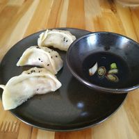 Gyoza at Koi Cocina Asiatica in Guatape