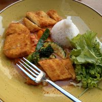 Fried Tofu with veggies and Curry at Citana in Bochum