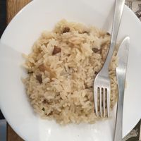  at Veggie Sue's in Salamanca