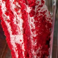 Red velvet at Veggie Sue's in Salamanca