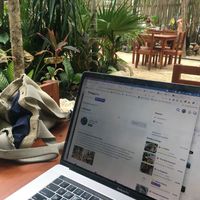 checking my Happy Cow site at the table waiting for my food at La Taqueria in Tulum