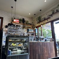  #Veganuary at Pancha Cafe in Hamilton