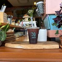 Iced long black at Pancha at Pancha Cafe in Hamilton