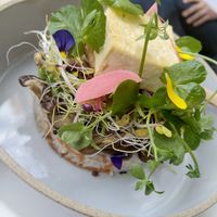 Bibimbap with simmered shiitake mushroom, assorted sprouts, vegs and grilled tofu at Picniq in Antwerpen