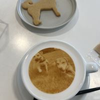   at Cafe Planet in Kyoto