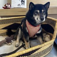   at Cafe Planet in Kyoto