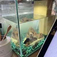   at LaRayia's Bodega in Atlanta