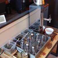 Free tea at 2eat Falafel & Hummus in Riga