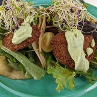 Falafel tacos. at Arte Sano in Aguadilla