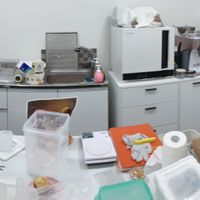 working space at Dear Vegan Bakery in Bucheon