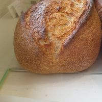 house regular sourdough at Nuit Blanche in Seoul