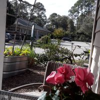 delisheeeyo patio at delisheeeYo in Hilton Head Island