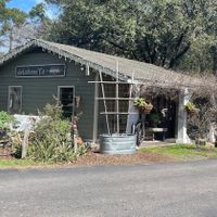   at delisheeeYo in Hilton Head Island