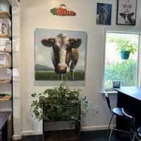   at delisheeeYo in Hilton Head Island