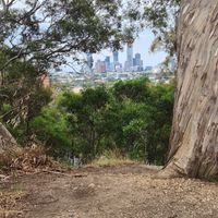 View near the cafe at Studley Grounds in Kew