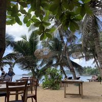 Beach view  at THE SLOW in Mirissa