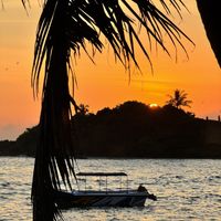   at THE SLOW in Mirissa