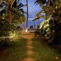   at The Slow in Mirissa