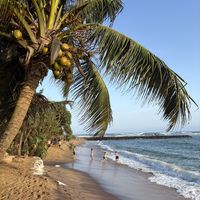 Beach  at The Slow in Mirissa