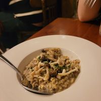 Pretty decent mushroom risotto. at Ziryab in Barcelona