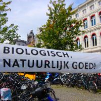 The street view of the organic market at Weekly Organic Market in Ruinen