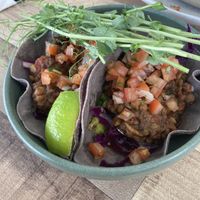   at Little Parliament in Rainbow Beach