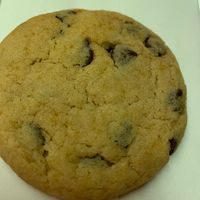  at The Cookie Jar in Chiang Mai