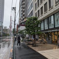 Tokyo Tower in the back at Maison Landemaine in Tokyo