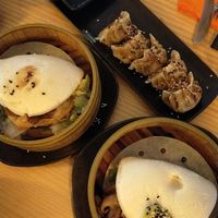 baos and vegan gyozas at TOFU Girona in Girona
