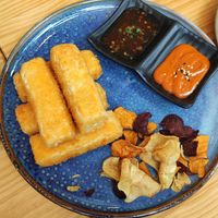  at TOFU Girona in Girona