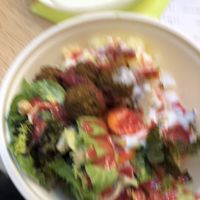   at immergrün in Karlsruhe