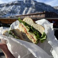 Garlic bagel with hummus and veggies! at Durango Bagel in Durango