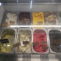 All eight are vegan! at JALato in Puerto Vallarta