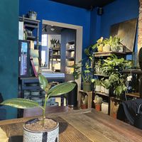   at White Pine - Seven Dials in London