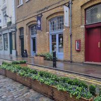  at White Pine - Seven Dials in London