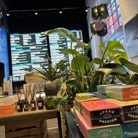 inside  at White Pine - Seven Dials in London