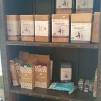  at Govinda in Vienna