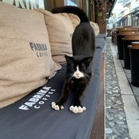 very welcomingg  at Fabrika Coffee in Sarajevo
