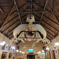  at The Great White House in Gansbaai