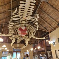  at The Great White House in Gansbaai