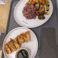 Gyozas were excellent! at Talalaks  in Bangkok