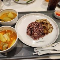 obssesed with the curry dishes! vegan duck goes well with rice! at Talalaks  in Bangkok