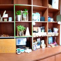 display at Small Tree in Seoul