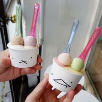 dairy gelato (left) and vegan sorbet (right) at Dang Do Gelato Shop in Seoul