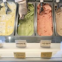 display with sorbets at Dang Do Gelato Shop in Seoul