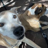   at Secret Garden Cafe in Sedona