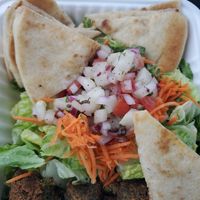 Falafel Pita at Fingers Wings and Other Things in Conshohocken