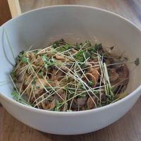 Mushroom noodles at VegANGELov  in Belgrade