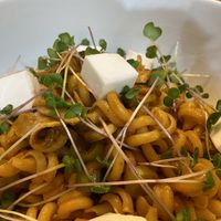 Napolitana pasta  at VegANGELov  in Belgrade